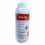Sun Oil