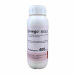 Orvego