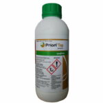 Priori Top