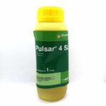 Pulsar