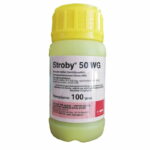 Stroby