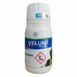 Velum Prime