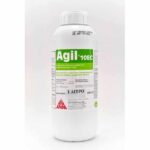 Agil