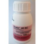 Scala