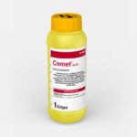 Comet